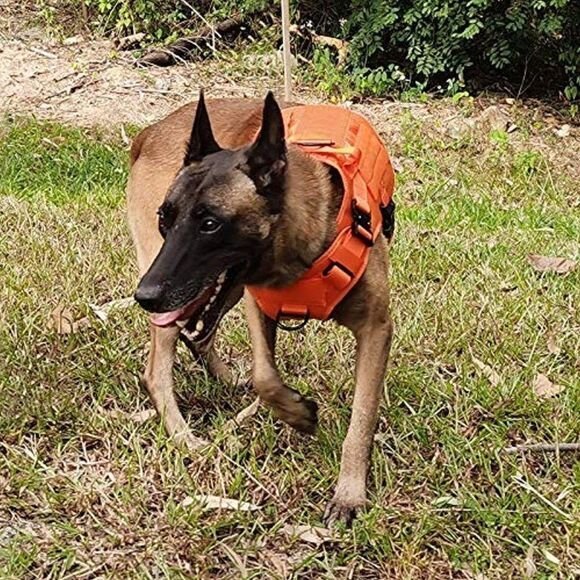 Orange Tactical Dog Harness Service‎ Dog New - Picture 3 of 6